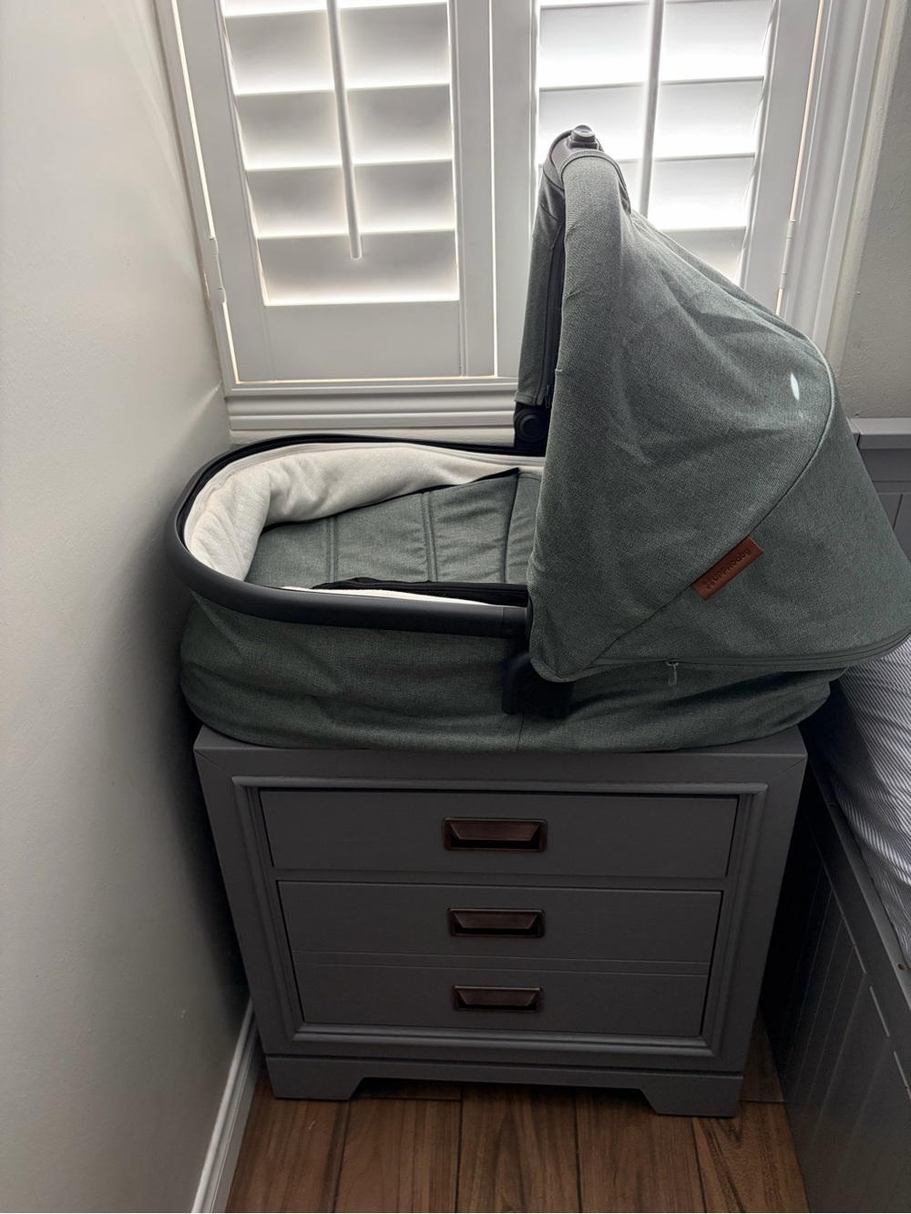 UPPAbaby Convertible Bassinet in Sage Green